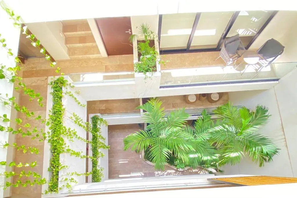 Pura Playa Luxury Condo 5Th Avenue Rooftop Ocean View Playa del Carmen Apartment