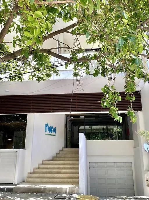 Pura Playa Luxury Condo 5Th Avenue Rooftop Ocean View Playa del Carmen Apartment