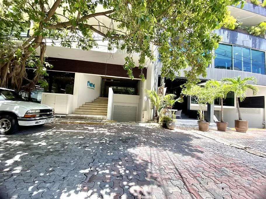 Pura Playa Luxury Condo 5Th Avenue Rooftop Ocean View Playa del Carmen Mexico