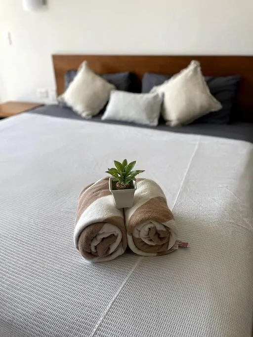 Pura Playa Luxury Condo 5Th Avenue Rooftop Ocean View Playa del Carmen Lägenhet